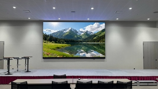 某集團(tuán)公司會(huì)議室小間距高清全彩LED顯示屏